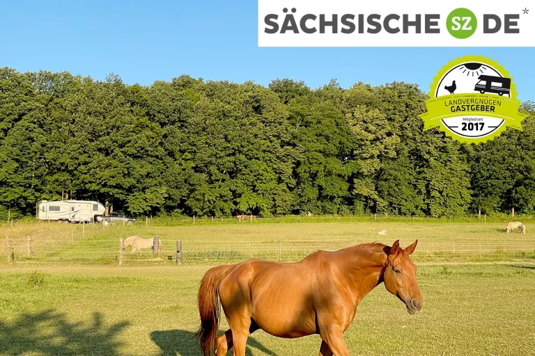 Ein atemberaubender Blick auf malerische Pferdekoppeln!