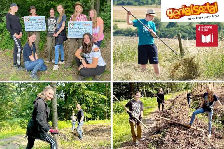 Collage mit Einsätzen aus genialsozial