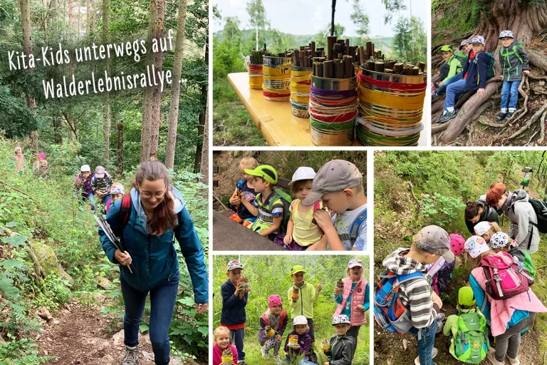 Fotocollage der Walderlebnisrallye