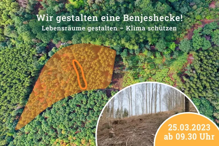 Grafik mit genauem Standort der Benjeshecke.