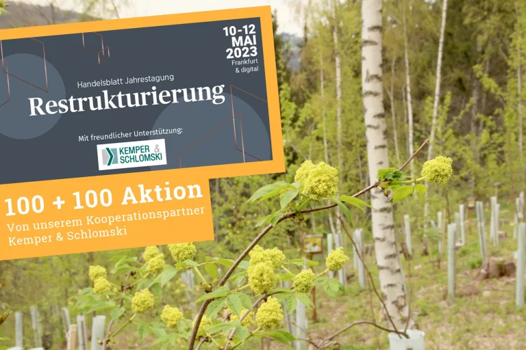 Foto des Bienenwaldes mit Teaser zur Handelsblatt Jahrestagung Restrukturierung 2023.