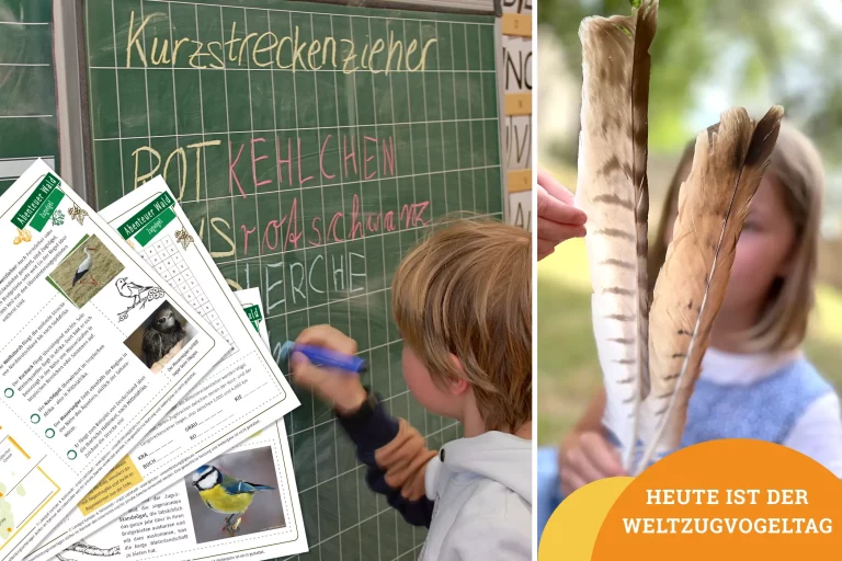 Titelbild zum Weltzugvogeltag