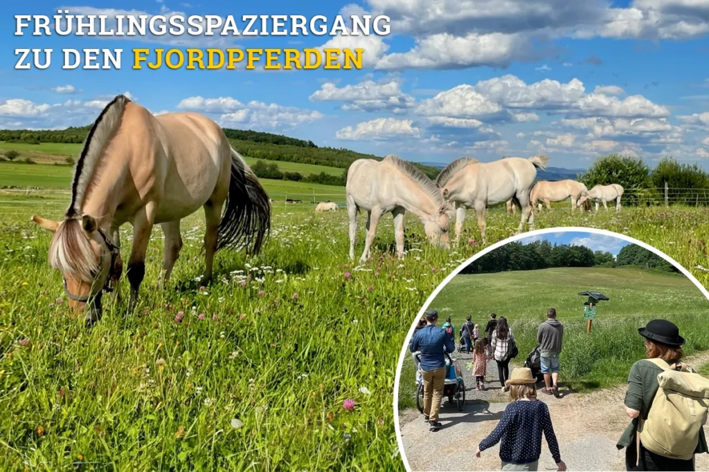 Frühlingsspaziergang 2024