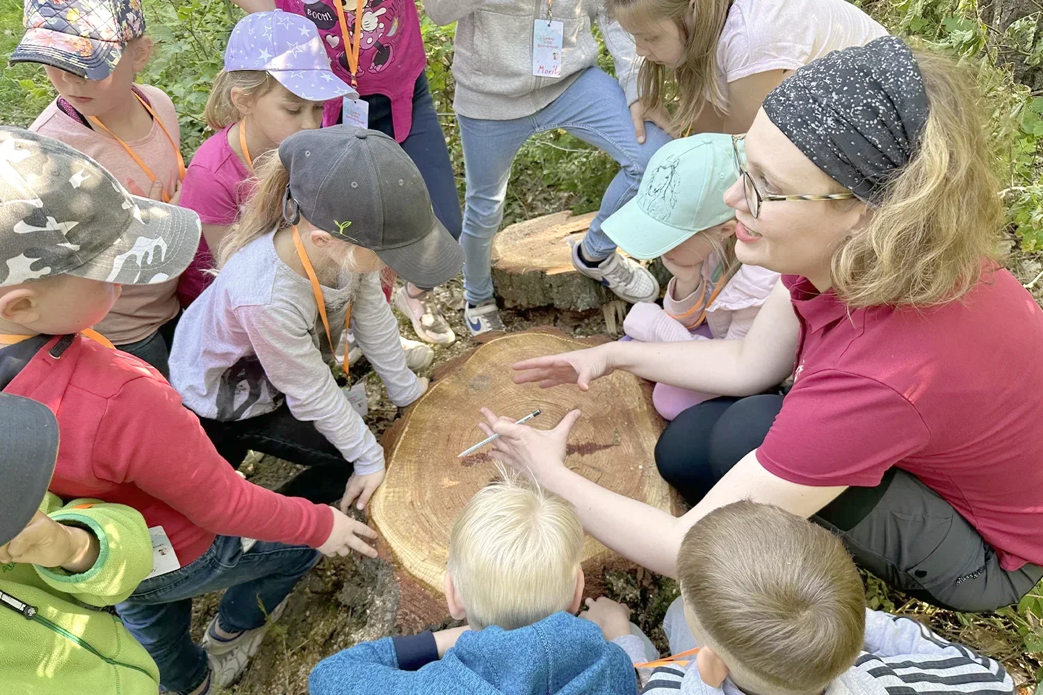 Frau Falkenberg zeigt Grundschülern die Jahresringe eines Baumes.