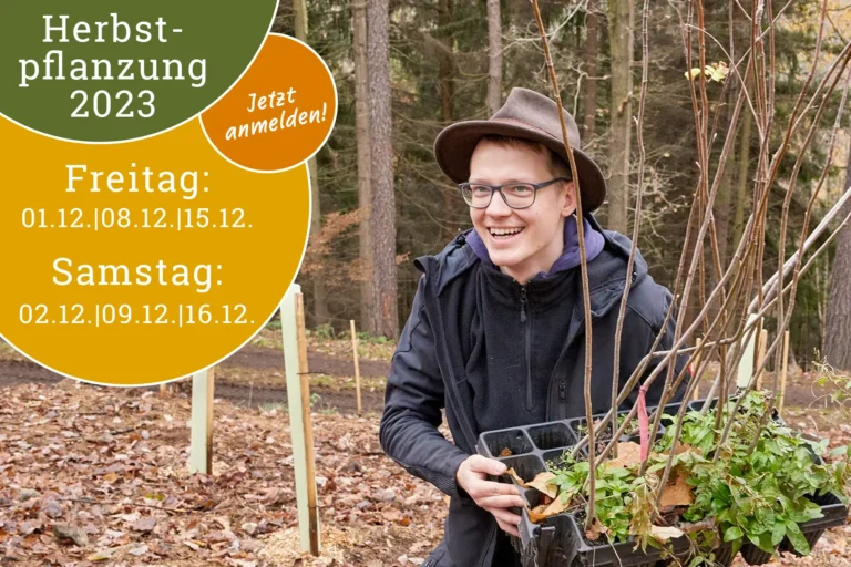 Auch in diesem Jahr werden wir gemeinsam mit euch den Bienenwald erweitern!