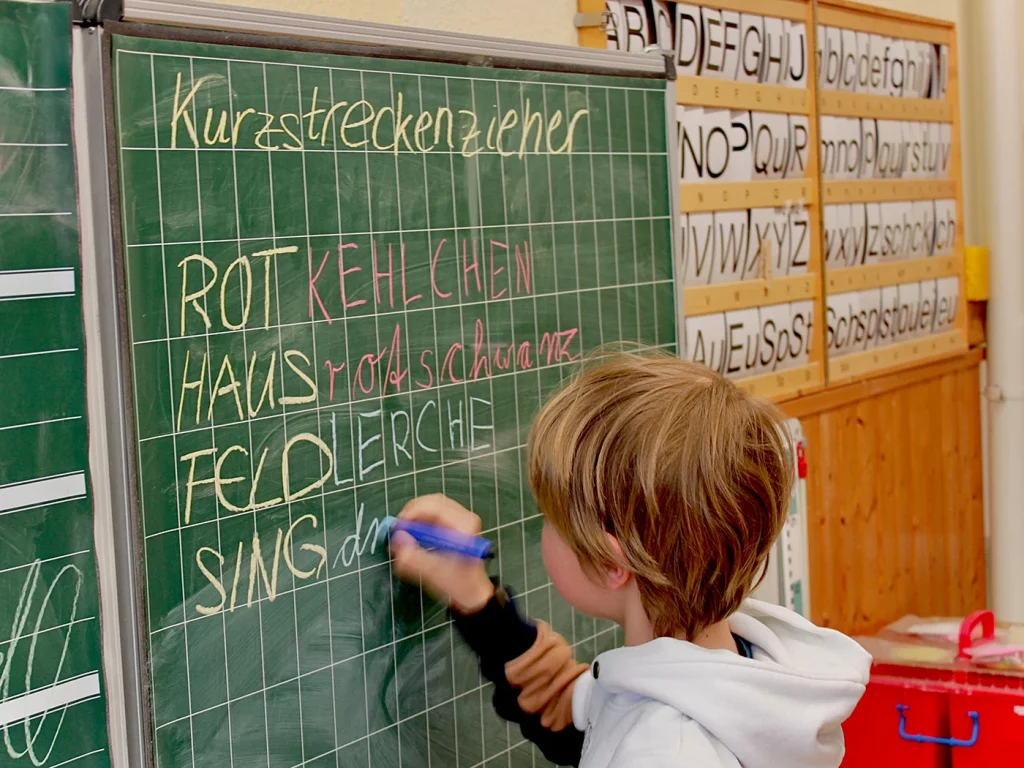 Ein Kind kombiniert Vogelnamen an einer Tafel