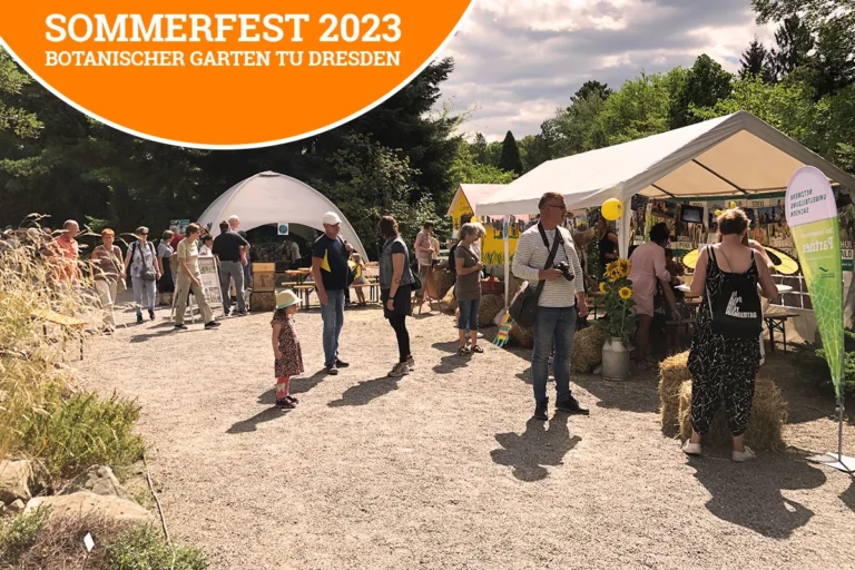 Wir sind dabei! Beim Sommerfest im Botanischen Garten der TU Dresden!