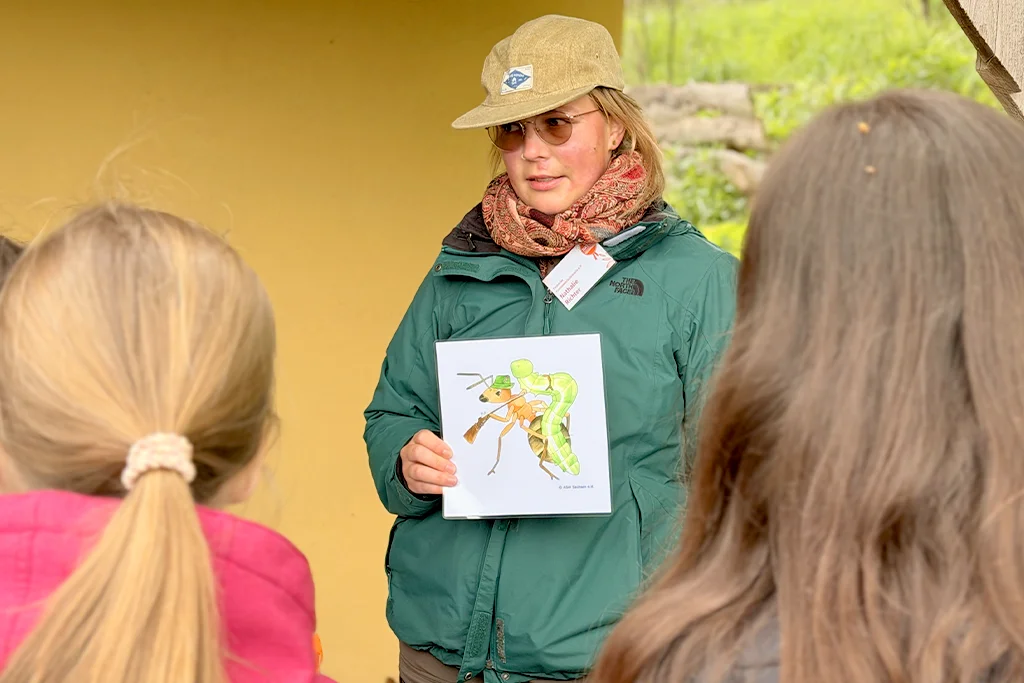 Frau Richter, von der Ameisenschutzwarte in Sachsen, zeigt den Schülern die verschiedenen Berufe der Ameisen.