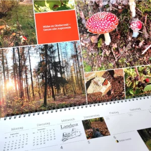 Kalender für 2026