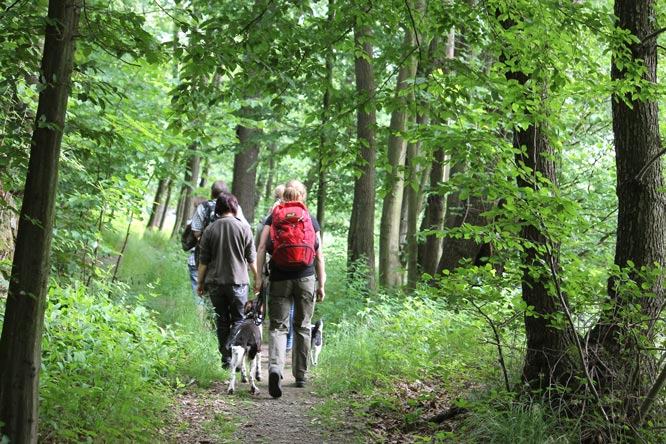Naturkundliche Wanderung entlang der Müglitztalhänge – 2. Naturkundliche Wanderung „Naturschutz und Artenvielfalt im Wald“