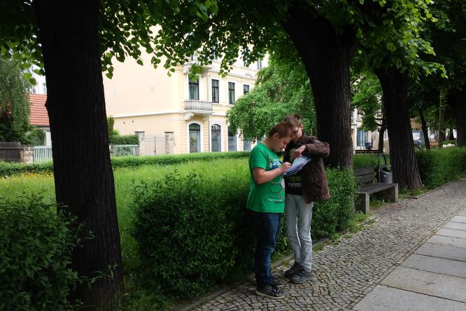 Phillip und Tom kartieren die Stadtbäume in der Pirnaer Altstadt