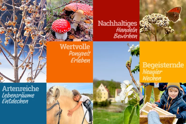 Collage mit bunten Farbkacheln und Bildern zu Pferden, Natur und Kindern