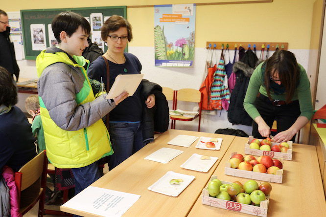 Gleich am Geschmack erkannt, bei welchem Apfel es sich um eine regionale alte Obstsorte handelt?