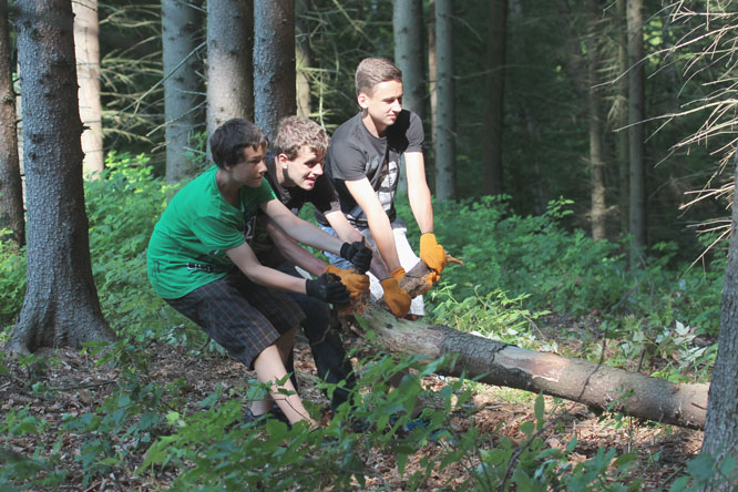 Zahlreiche Jugendliche engagieren sich bei der Pflege des Schulwaldes