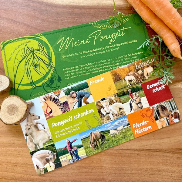 Geschenkgutschein „Meine Ponyzeit“ – Bild 2