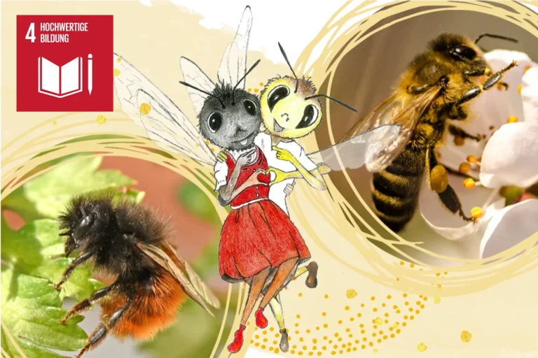 Collage aus illustrierter Honig- und Wildbiene