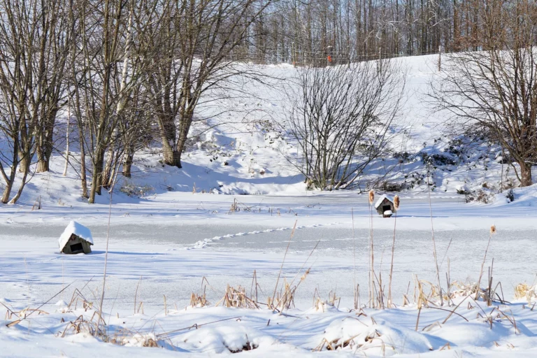 Winterimpression vom verschneiten Landgut-Teich