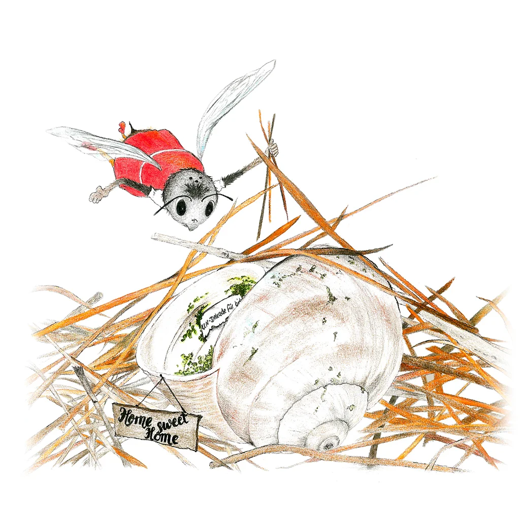 Illustration einer Wildbiene auf einem Schneckenhaus