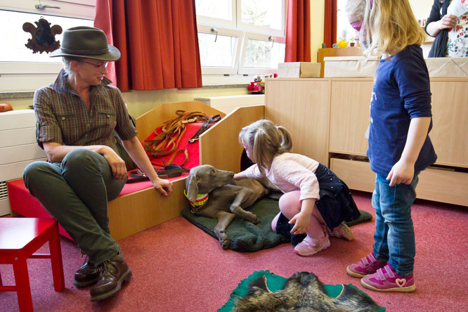 Er ist mit Sicherheit der spannendste Teilnehmer für alle Kinder auf der Veranstaltung: Weimaraner Quanto Prima.