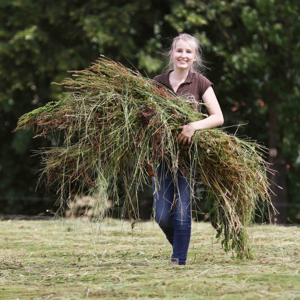 Mädchen trägt Gras über eine Wiese