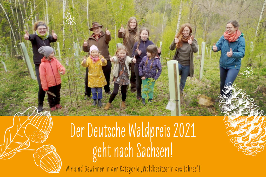 Der Deutsche Waldpreis 2021 geht nach Sachsen!
