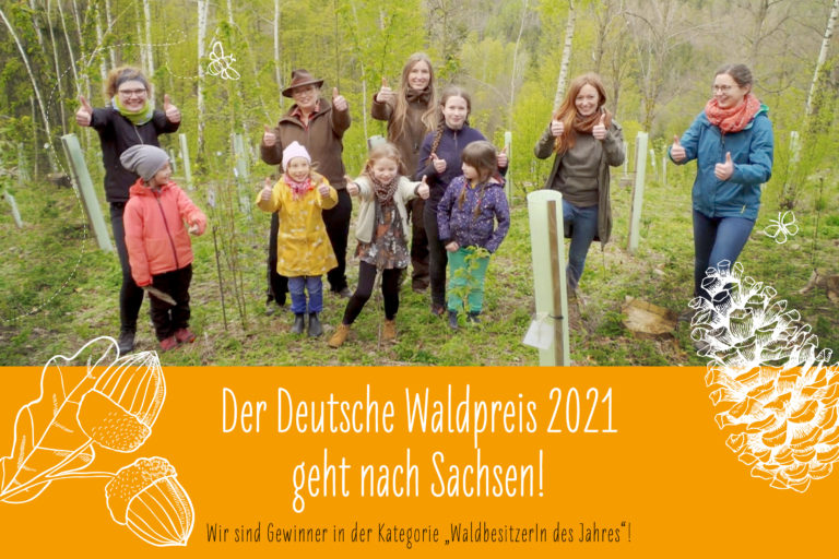Der Deutsche Waldpreis 2021 geht nach Sachsen!