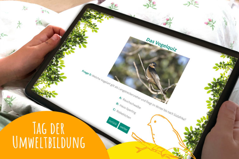Der Tag der Umweltbildung