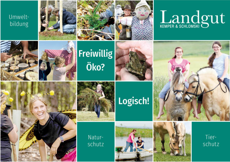 Freie Plätze: Dein Freiwilliges Ökologisches Jahr am LGKS