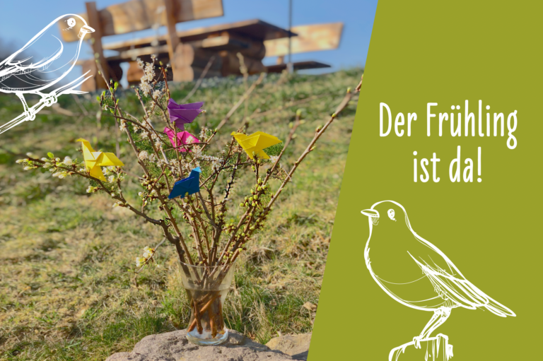 Heute haben wir gemeinsam mit den GTA-Kids ein Zugvogel-Origami gebastelt.