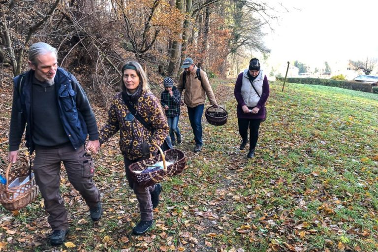Kräuterwanderung