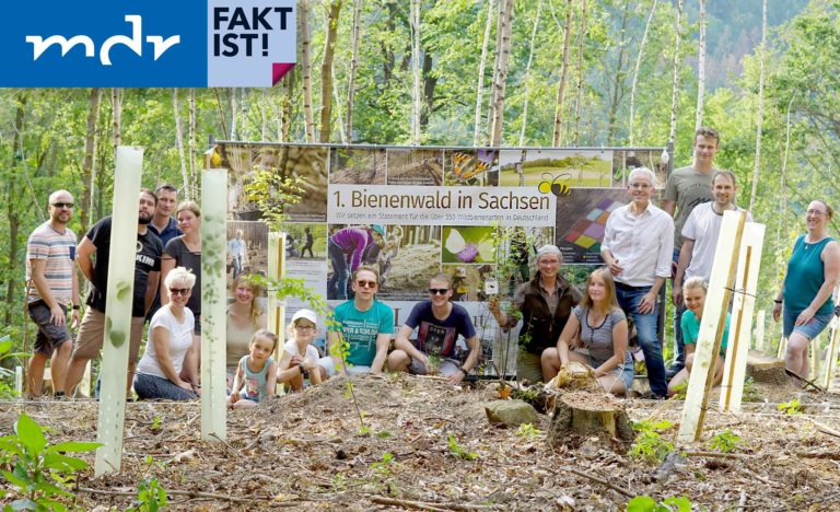 Unser Bienenwald im TV!