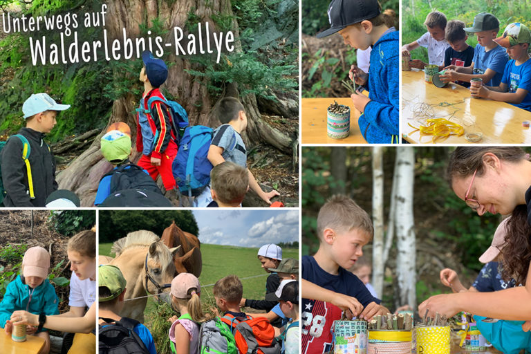 Walderlebnis-Rallyes mit Insektenhotelbau