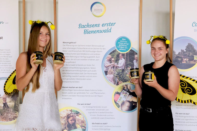 Wanderausstellung „BNE in Sachsen“ - Unser Bienenwald ist mit dabei