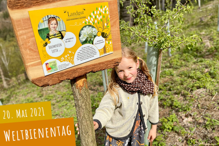 Weltbienentag – Eure Stimme für die Bienen