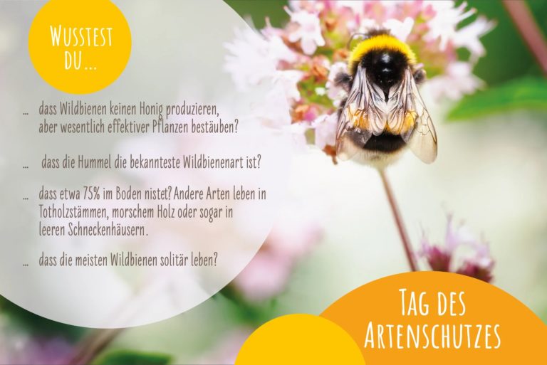 Wir feiern den internationalen Tag des Artenschutzes
