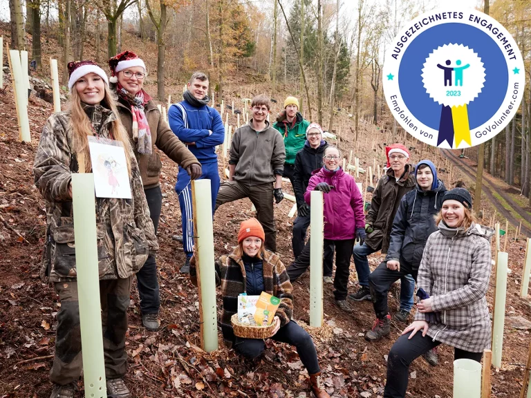 Wir haben eine Auszeichnung von GoVolunteer bekommen.