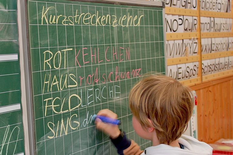 Wie heißen die Zugvögel?